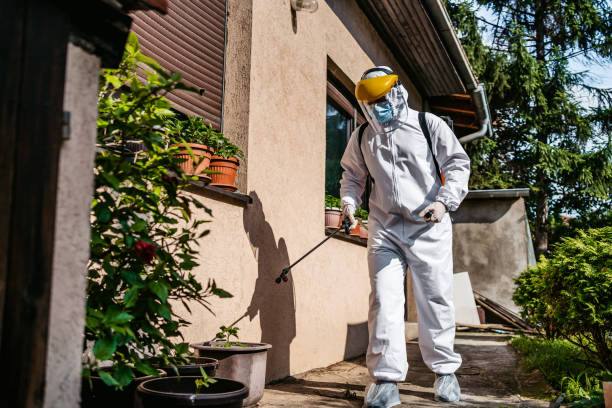 Flea Control Services in Monterey, TN