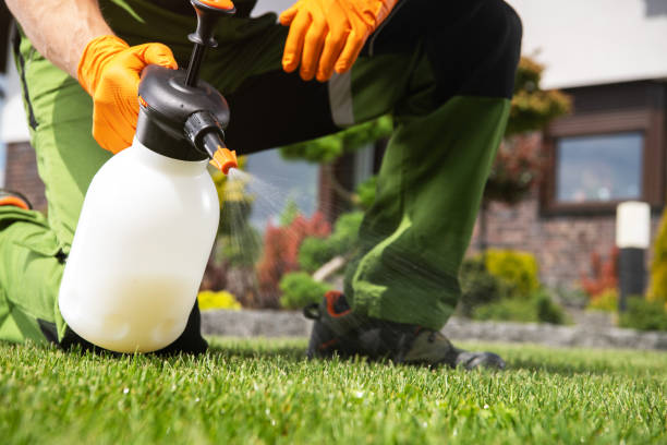 Best Pest Removal Services  in Monterey, TN