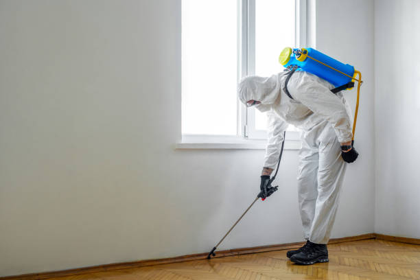 Professional Pest Control in Monterey, TN