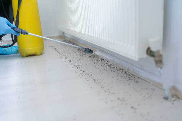 Best Mosquito Control Services  in Monterey, TN