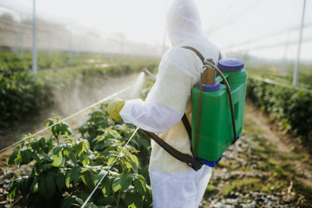  Monterey, TN Pest Control Pros